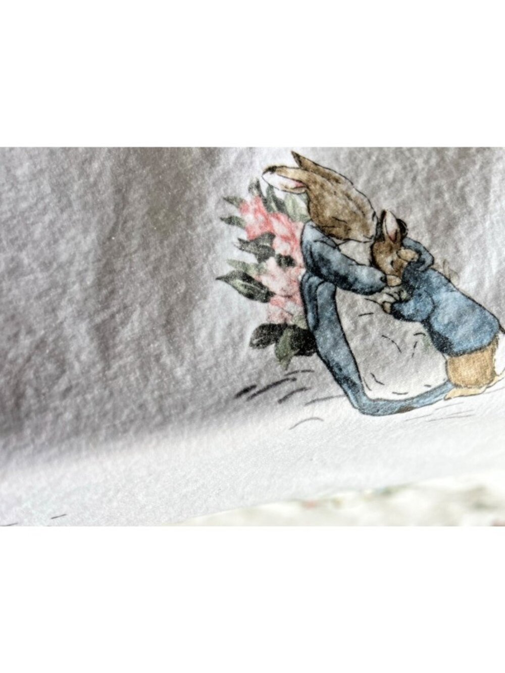 POTTERY BARN KIDS Peter Rabbit TWIN Flat BEATRIX POTTER !00% Organic Cotton - Picture 7 of 11